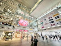 小田急線屈指のターミナル「相模大野駅」は“モール天国”だった！ 駅直結ショッピングと文化施設が集結する街