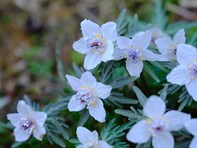 旅の目的地にしたい「広島県の道の駅」ランキング！ 2位「リストアステーション」、1位は？【2025年】