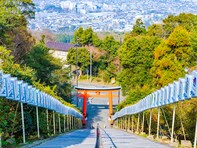 「ナンバープレートにしたい」と思う福岡県の地名ランキング！2位「久留米市」を抑えた1位は？【2025年調査】