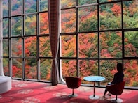 【楽天トラベルスーパーSALE】「奥道後　壱湯の守（いちゆのもり）」が今だけ特別価格に！ 四季折々の自然に囲まれて癒し体験【9月11日】