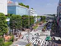 東京23区で「老後に住みたいと思う区」ランキング！ 2位「杉並区」、1位は？【2025年最新】