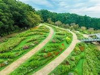 コスモスなど15万本の秋の花が彩る「夕焼け色の丘」へ！ 横浜・里山ガーデンフェスタの見どころ