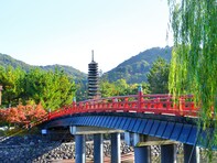 子育てしやすいと思う京都府の市町村ランキング！ 「宇治市」を上回る圧倒的1位は？【2025年最新】