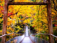 好き・行ってみたい「岩手県の紅葉スポット」ランキング！ 2位「花巻温泉」、1位は？【2025年調査】