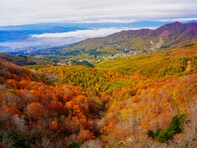 好き・行ってみたい「宮城県の紅葉スポット」ランキング！ 2位「蔵王」、2票差の1位は？【2025年調査】