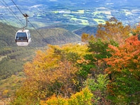 好き・行ってみたい「福島県の紅葉スポット」ランキング！ 2位「あだたら山ロープウェイ」、1位は？