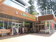 絶景が楽しめると思う「愛知県の道の駅」ランキング！ 「豊根グリーンポート宮嶋」を抑えた1位は？【2025年調査】