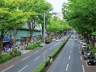 東京23区で「若者が暮らしやすい」と思う区！ 2位「中野区」、1位は？【2025年最新】