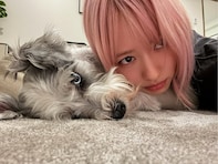 「義兄宅ですか!!」山本舞香、義兄・ワンオクTakaの愛犬とツーショット公開「スシ女の子だったんだ」