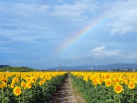 絶景が楽しめると思う「岡山県の道の駅」ランキング！ 2位「笠岡ベイファーム」、1位は？【2025調査】