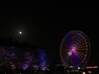 好き＆行ってみたい「大阪府のお月見スポット」ランキング！ 2位「万博記念公園」、1位は？