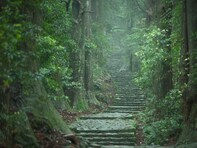 好き＆行ってみたい「和歌山県のお月見スポット」ランキング！ 2位「熊野古道・大門」、1位は？