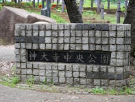 【横浜18区】読めたら横浜ツウ！ 神奈川大学の略称に惑わされる難読地名「神大寺」の読み方と歴史