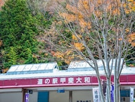 お土産が充実していると思う「山梨県の道の駅」ランキング！ 2位「甲斐大和」を抑えた1位は？【2025年調査】