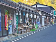 秋に行きたい「奈良県（奈良・吉野・大和路エリア）の温泉地」ランキング！ 「吉野温泉」を抑えた1位は？