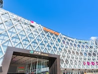 「ナンバープレートでお金持ちだと思う茨城県の地名」ランキング！ 2位「水戸」を抑えた1位は？【2025年調査】