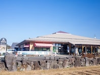 遠方からでも行きたいと思う「大分県の道の駅」ランキング！ 2位「原尻の滝」を抑えた1位は？ 【2025年調査】