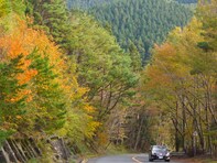 秋に行きたい「和歌山県の絶景ドライブスポット」ランキング！ 2位「高野龍神スカイライン・護摩壇山周辺ルート」、1位は？