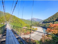 秋に行きたい「奈良県の絶景ドライブスポット」ランキング！ 2位「十津川温泉郷周辺ルート」、1位は？