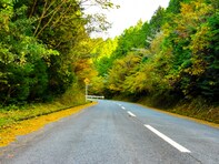 秋に行きたい「熊本県の絶景ドライブスポット」ランキング！ 2位「南阿蘇グリーンロード」、1位は？【2025年調査】