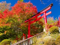 好き＆行ってみたい「東京都の紅葉スポット」ランキング！ 2位「高尾山」を抑えた1位は？【2025年調査】