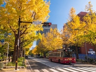好き＆行ってみたい「神奈川県の紅葉スポット」ランキング！ 2位「山下公園通りイチョウ並木」を抑えた1位は？【2025年調査】