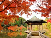 好き＆行ってみたい「千葉県の紅葉スポット」ランキング！ 2位「成田山公園」を抑えた1位は？【2025年調査】