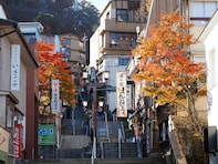 好き＆行ってみたい「群馬県の紅葉スポット」ランキング！ 2位「伊香保温泉」を抑えた1位は？【2025年調査】