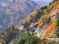 好き＆行ってみたい「石川県の紅葉スポット」ランキング！ 2位「白山白川郷ホワイトロード」、1位は？