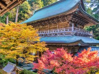 好き＆行ってみたい「福井県の紅葉スポット」ランキング！ 2位「永平寺」、1位は？ 【2025年度調査】