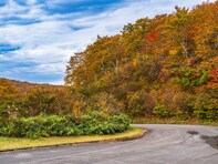 秋に行きたい「新潟県の絶景ドライブスポット」ランキング！ 「魚沼スカイライン」を抑えた1位は？