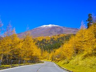 秋に行きたい「静岡県の絶景ドライブスポット」ランキング！ 「富士山スカイライン」を抑えた1位は？