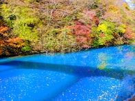 秋に行きたいと思う「群馬県の絶景スポット」ランキング！ 2位「四万温泉・奥四万の滝」を抑えた1位は？【2025年調査】