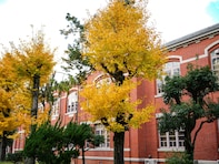 「実績のある卒業生が多い」と思う日本の大学ランキング！ 2位は「京都大学」、1位は？