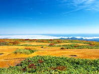 秋に行きたいと思う「山形県の絶景スポット」ランキング！ 2位「月山」を抑えた1位は？ 【2025年調査】