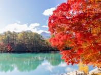 秋に行きたいと思う「福島県の絶景スポット」ランキング！ 2位「五色沼湖沼群」を抑えた1位は？【2025年調査】