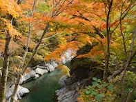 秋に行きたい「埼玉県の穴場秘境」ランキング！ 2位「中津峡」を抑えた1位は？ 【2025年調査】