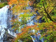 秋に行きたい「福井県の穴場秘境」ランキング！ 2位「龍双ヶ滝」、1位は？ 【2025年度調査】