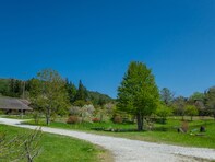 秋に行きたい「岩手県の絶景ドライブスポット」ランキング！ 2位「遠野ふるさと村周辺ルート」を抑えた同率1位は？