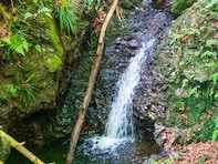 東京都で「秋に行きたい滝」ランキング！ 2位「高尾山薬王院 蛇滝」を抑えた1位は？【2025年調査】