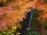 千葉県で「秋に行きたい滝」ランキング！ 2位「地蔵堂の滝（白糸の滝）」を抑えた1位は？【2025年調査】