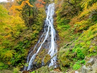埼玉県で「秋に行きたい滝」ランキング！ 2位「丸神の滝」を抑えた1位は？【2025年調査】