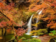 茨城県で「秋に行きたい滝」ランキング！ 2位「月待の滝」を抑えた1位は？【2025年調査】