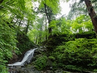 栃木県で「秋に行きたい滝」ランキング！ 2位「白糸の滝」を抑えた1位は？【2025年調査】