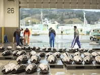 宮城県の市で「老後に住みたい」と思う市ランキング！ 「気仙沼市」を抑えた圧倒的1位は？【2025年調査】