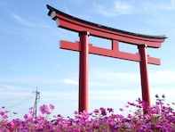 群馬県で「名前がかっこいい」と思う市ランキング！ 2位「伊勢崎市」、1位は？ 【2025年度調査】