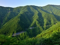 秋に行きたい「奈良県の穴場秘境」ランキング！ 2位「ナメゴ谷」を抑えた1位は？ 【2025年調査】