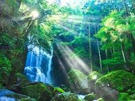 秋に行きたい「和歌山県の穴場秘境」ランキング！ 2位「桑ノ木の滝」を抑えた1位は？ 【2025年調査】