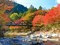 秋に行きたい「岡山県の穴場秘境」ランキング！ 2位「奥津渓」、1位は？ 【2025年度調査】