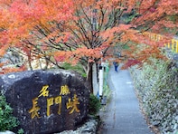 秋に行きたい「山口県の穴場秘境」ランキング！ 2位「長門峡」、1位は？ 【2025年度調査】